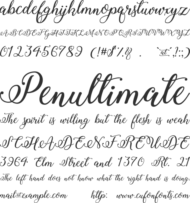 Winter Calligraphy font preview