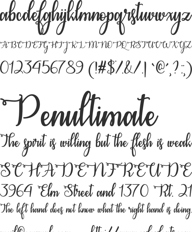 Congrats Calligraphy font preview
