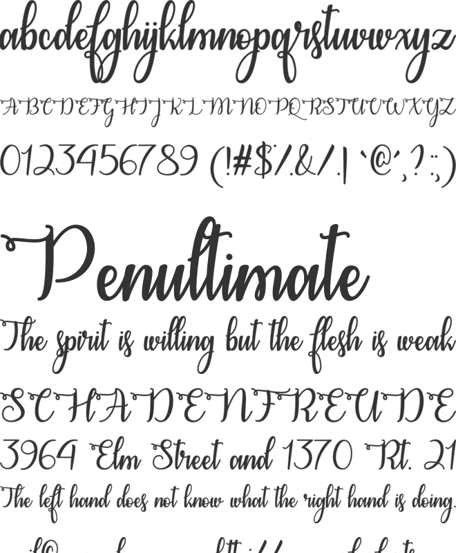 Congrats Calligraphy font preview