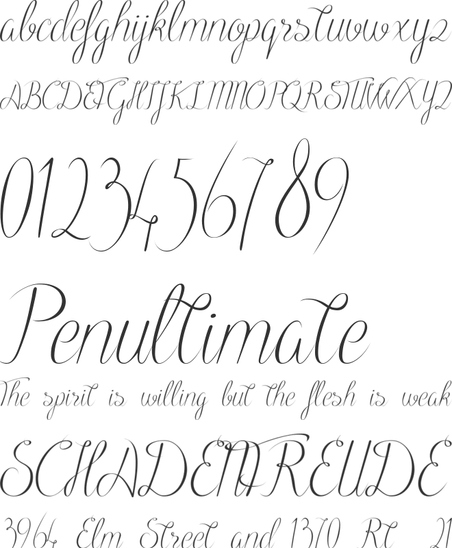 Black Olives font preview