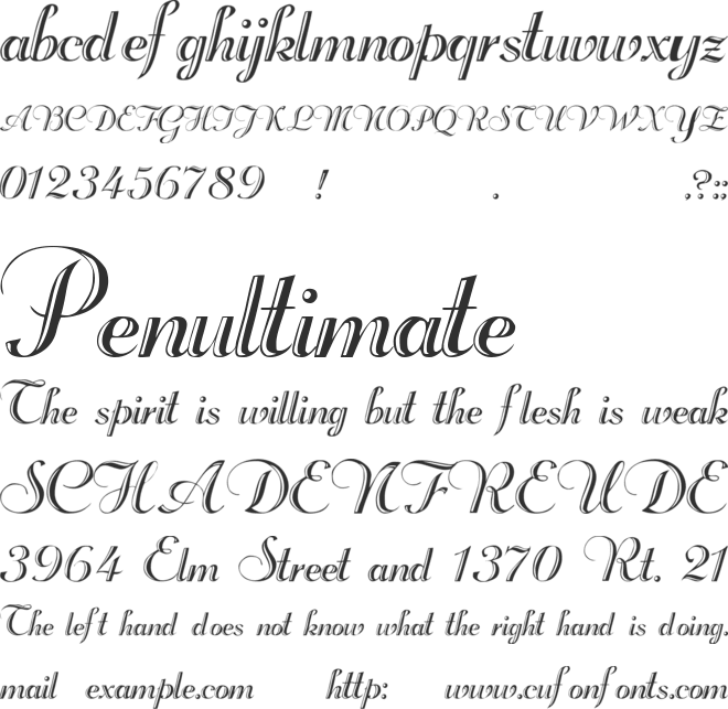 Beachman Script font preview