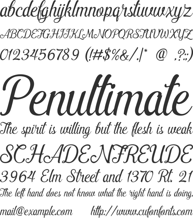 Pamega Script font preview