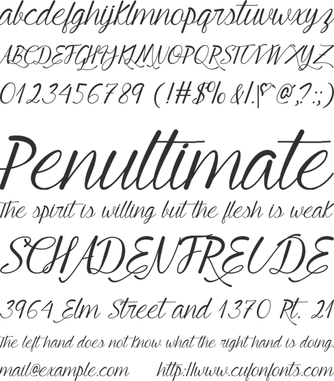 Young and Beautiful font preview
