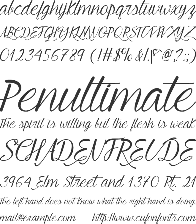 Young and Beautiful font preview