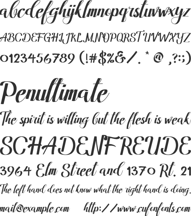 Amandella Script font preview