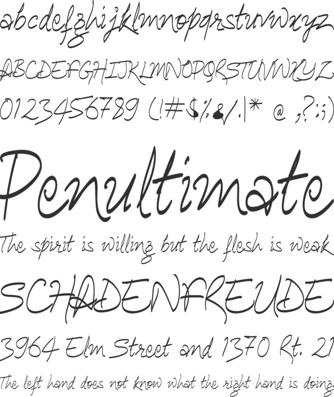 Ananda Hastakchyar font preview