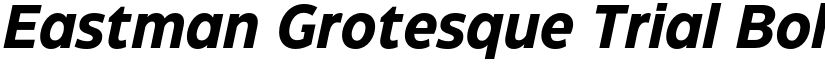 Eastman Grotesque Trial Bold Italic font