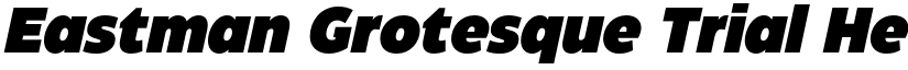 Eastman Grotesque Trial Heavy Italic font