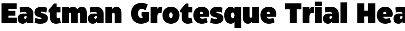 Eastman Grotesque Trial Heavy font