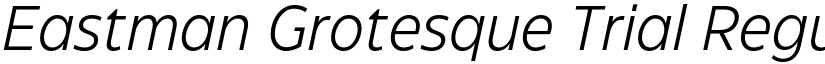 Eastman Grotesque Trial Regular Offset Italic font