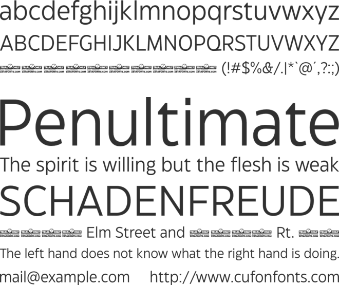 Eastman Grotesque Trial font preview