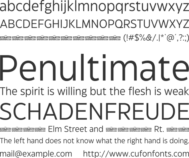 Eastman Grotesque Trial font preview