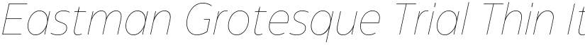 Eastman Grotesque Trial Thin Italic font