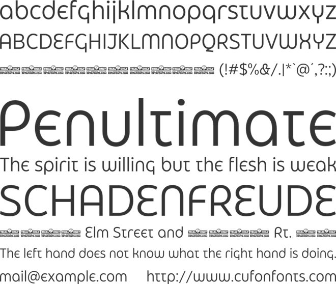 Eastman Grotesque Alt Trial font preview