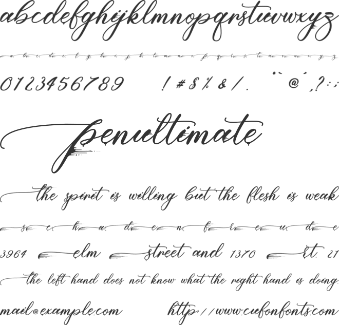 Piasley - Personal Use font preview