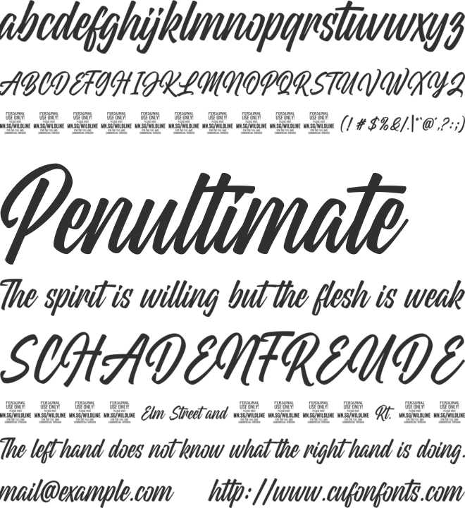 Wildline PERSONAL USE ONLY font preview