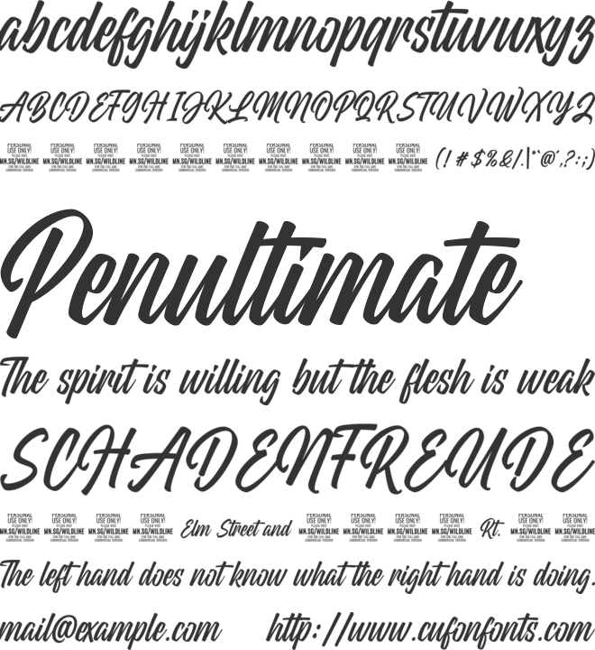 Wildline PERSONAL USE ONLY font preview