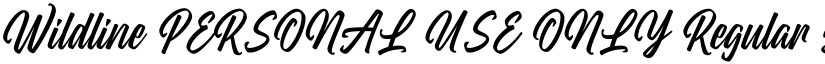 Wildline PERSONAL USE ONLY Regular font