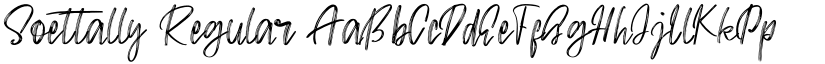 Soettally font download