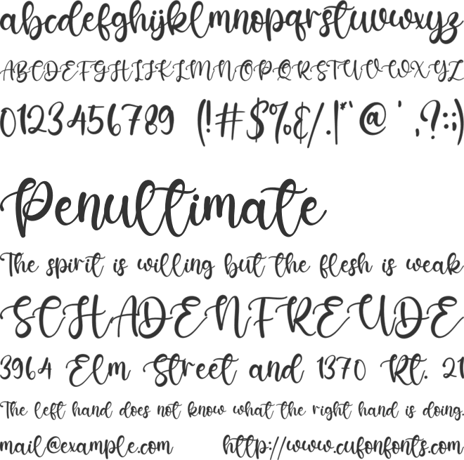 Katterine Rose font preview