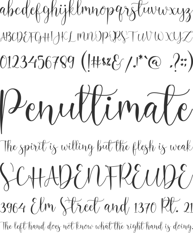 Hello Butterfly font preview