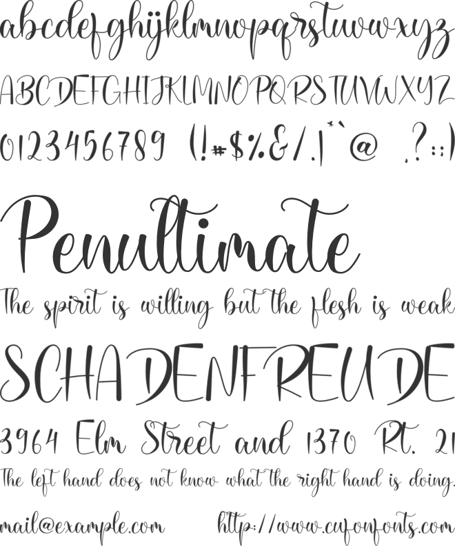 Kamiley font preview