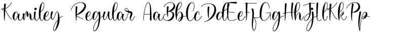 Kamiley Regular font