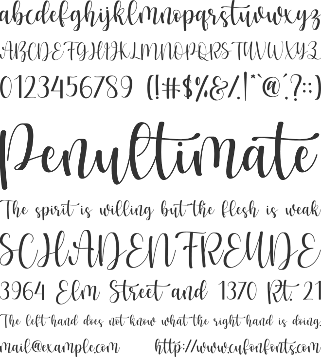 Marista font preview