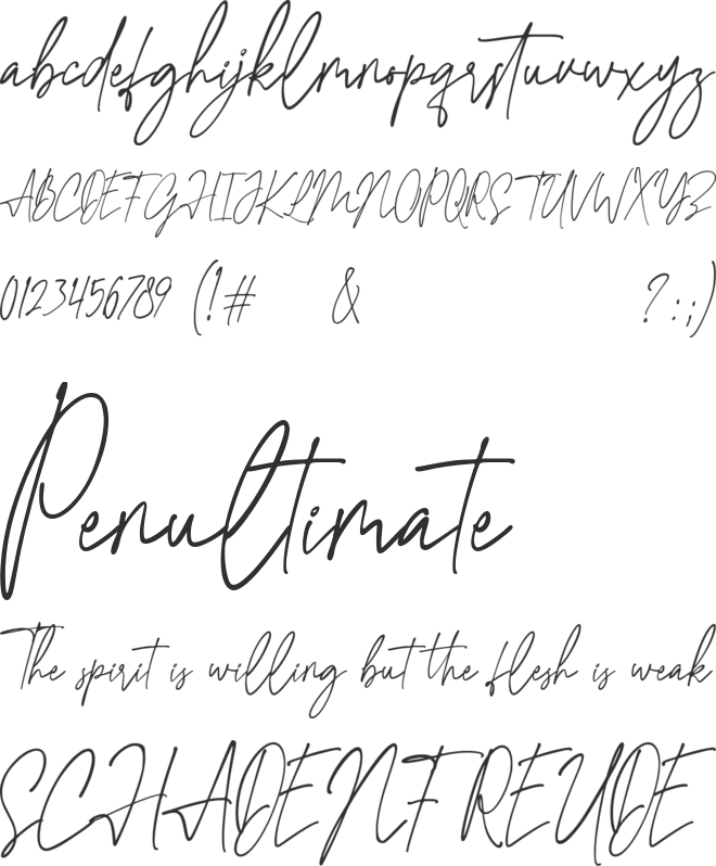 Agatha Christy font preview