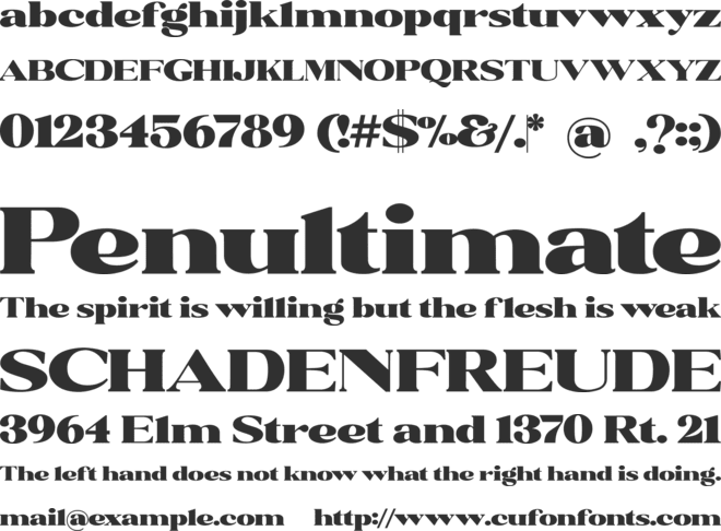 Rochie font preview
