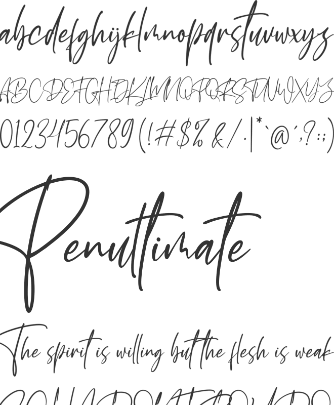 Wancester Signature font preview