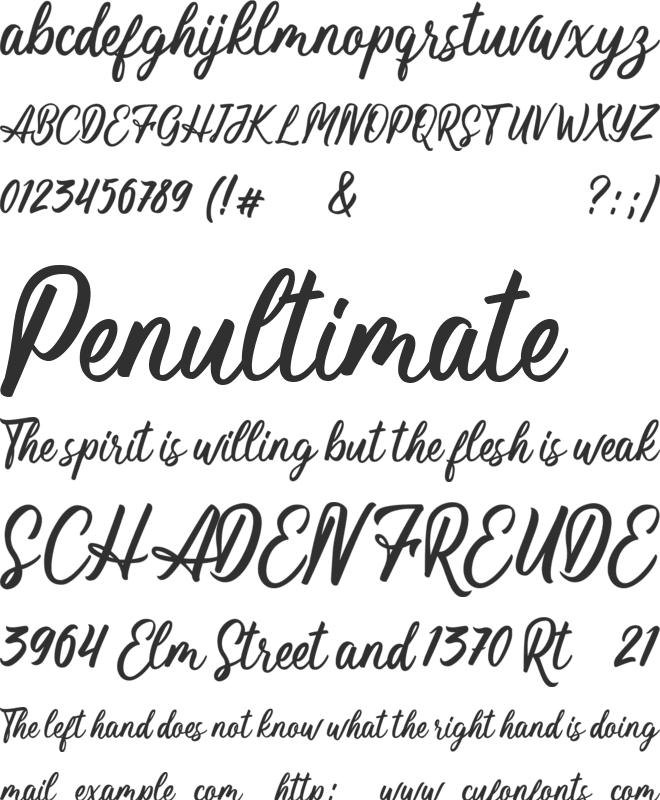 Magnifyco font preview