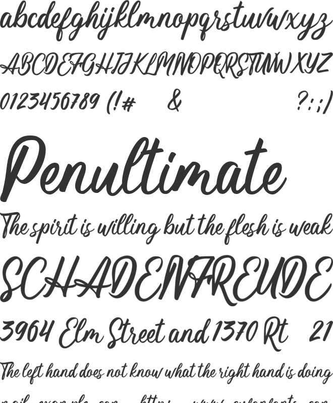 Magnifyco font preview