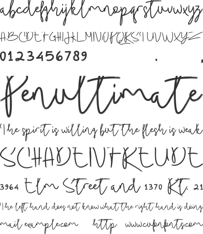 Budhayanti Script font preview