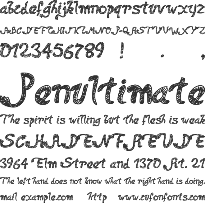 PWDolphins font preview