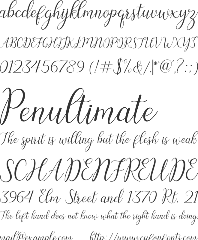 Austina font preview