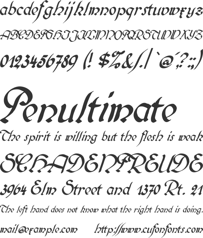Biedermeier Kursiv font preview