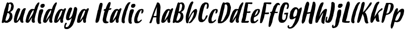 Budidaya Italic font