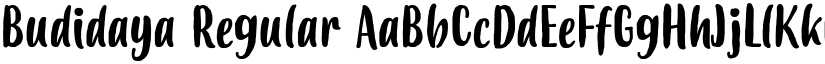 Budidaya Regular font