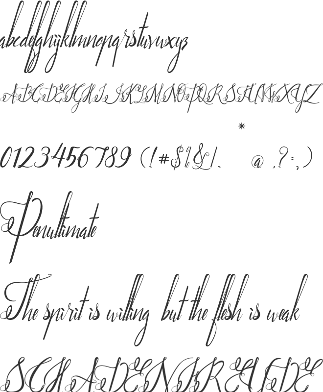 Paradise font preview