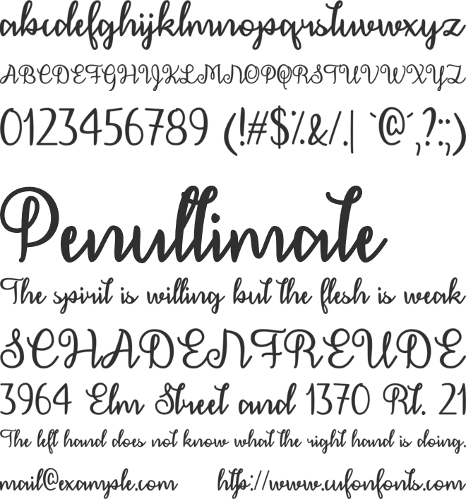 December Calligraphy font preview