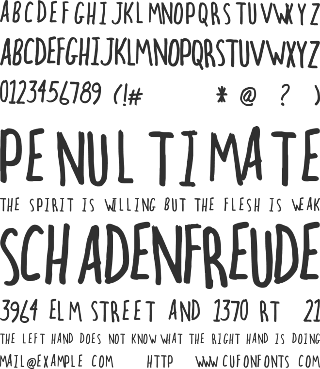 hectic font preview