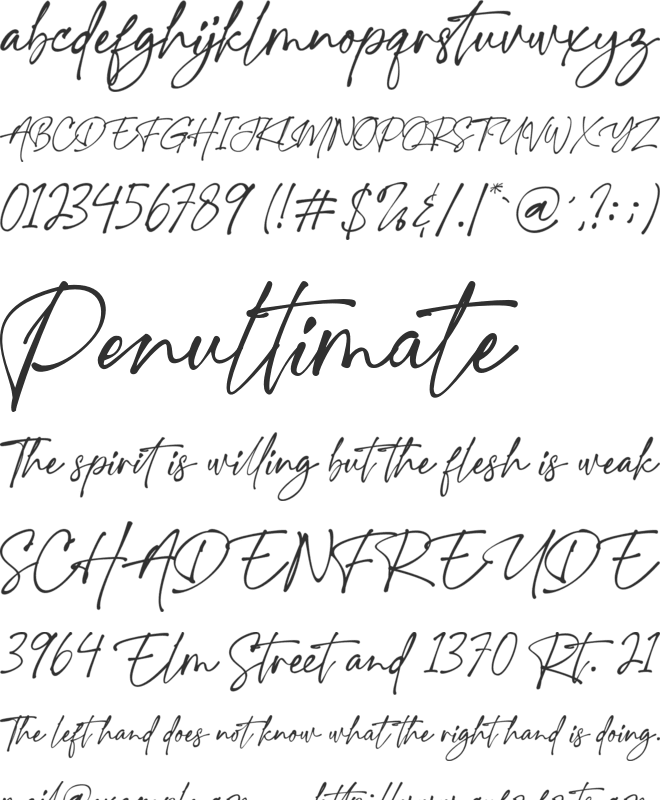 Charlotte Southern font preview