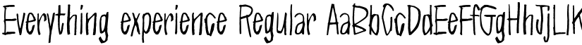 Everything experience Regular font
