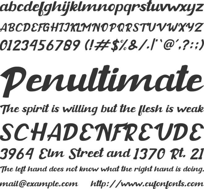 Buckey_Free font preview