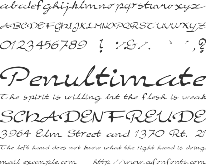 Elegant hand Script font preview