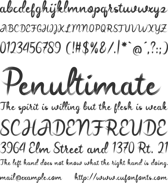Widia font preview