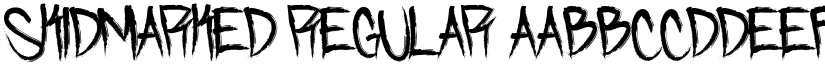 Skidmarked Regular font
