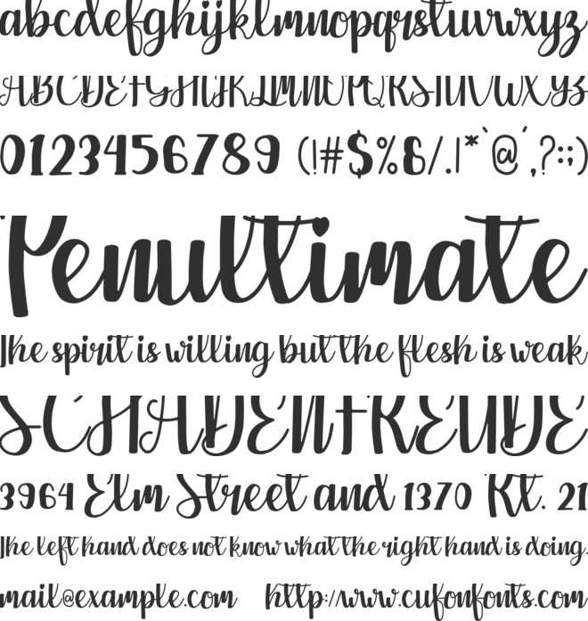 Castya font preview