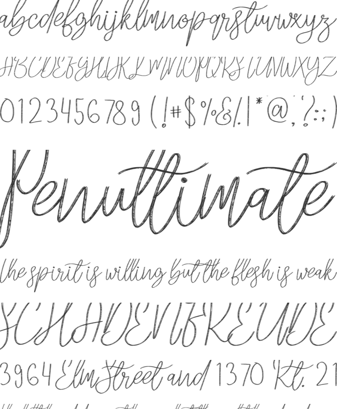 Marida Cole font preview